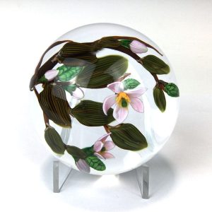 Magnolia Blossoms – Pink flowers and green pods